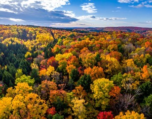 Aerial view of vibrant fall forest canopy under a partly cloudy sky