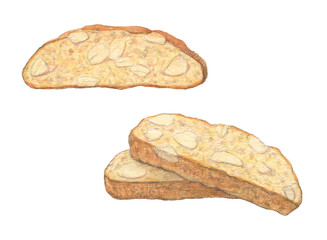 アーモンドビスコッティ　水彩色鉛筆イラスト