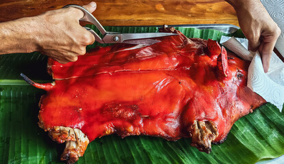 Chef hand cuts piece grilled pork in steaks with scissors. Traditional roasted suckling pig cooked on banana leaf in tray. Divide the roast pork into portions. Cut Barbecued suckling pig into pieces.