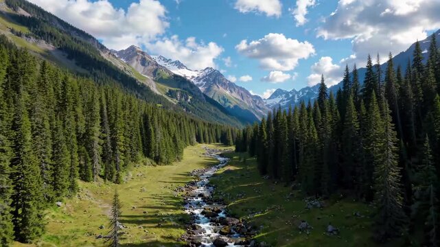 Natural scenery of mountains, forests and streams