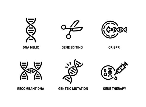 DNA Helix Gene Editing CRISPR Recombinant DNA Genetic Mutation Gene Therapy Minimal
