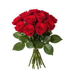 bouquet of red roses on white backgroun