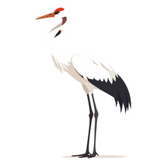 Fototapeta premium Crane Bird Illustration, Long Leg Water Bird Vector