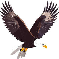 Obraz premium Eagle Bird Illustration, Powerful Flying Eagle Isolated Vector