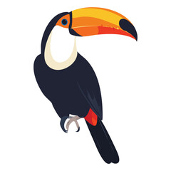 Fototapeta premium Toucan Bird Illustration with Big Beak, Tropical Vector