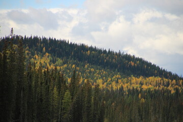 autumn in the mountains, Nordegg, Alberta