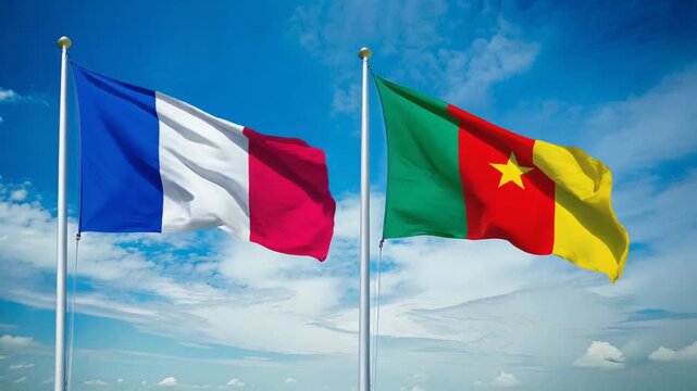 フランスの国旗とカメルーンの国旗(France flag flag & Cameroon flag.)
