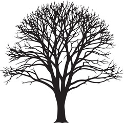 Obraz premium Illustration of bare black tree silhouette on