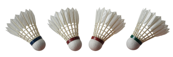 Four white feather shuttlecocks with colored bands displayed against a solid for sports on transparent background