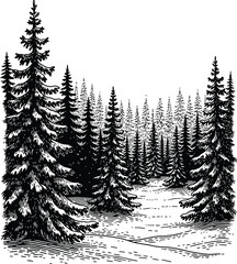 Winter Pine Forest Landscape Illustration &ndash; Snowy Evergreen Trees Black and White Art