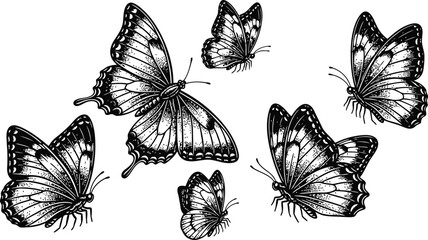 Five butterfly silhouettes in subtle dark tones against a deep black background