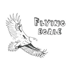Majestic eagle in flight, soaring with wings spread wide, a symbol of freedom and power