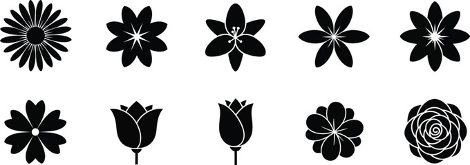 This image serves as a placeholder for a high-quality vector graphic design.