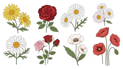 Collection of hand-drawn floral elements featuring roses daisies and poppies perfect for graphic design and botanical illustrations