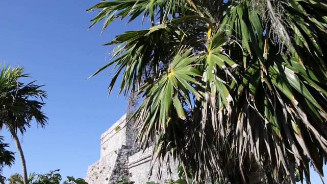 mayan ruins in tropical setting tulum mexico (pyramid temple next to caribbean beach travel tourism getaway setting) stunning beautiful archaeology (archaeological site) mesoamerican history maya