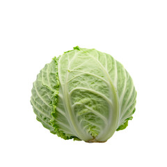 Obraz premium Fresh Green Cabbage Head with Detailed Leaves