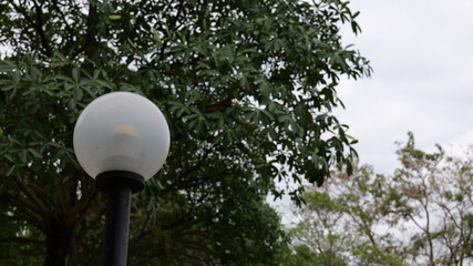 Street Lamp Surrounded by Lush Greenery in a Park Setting on a Cloudy Day