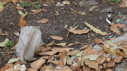 Discarded Plastic Bag Surrounded by Brown Leaves on a Ground of Soil and Debris
