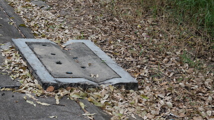 Abandoned Concrete Structure Surrounded by Dry Leaves on Urban Pathway