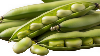 Photo of fresh green broad beans in pods on transparent background isolated on white