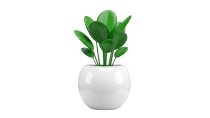 Green Plant in White Pot on White Background