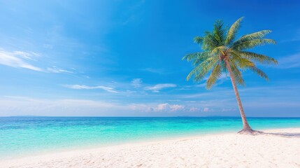 Beautiful beach scene with a palm tree and clear blue water under a bright sky