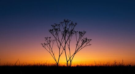 Dramatic landscape scene featuring the stark, dark outline of natural growth against a vibrant, colorful gradient sky at dawn or dusk ,dramatic ,field ,minimal