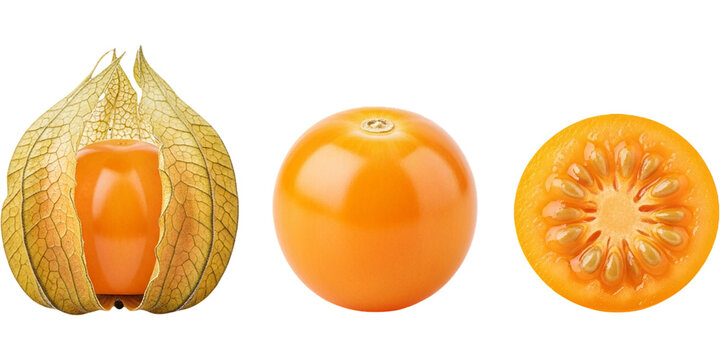 Fresh cape gooseberry physalis fruit displayed with natural husk whole fruit and sliced section showing juicy orange flesh seeds and papery texture ideal for botanical and food design visuals