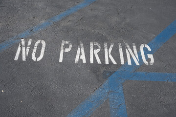 White 'No Parking' text stenciled on asphalt with blue painted lines