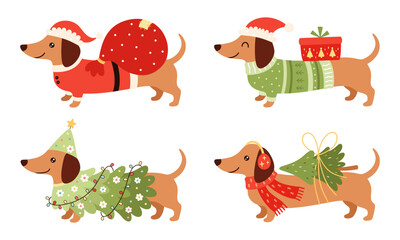 Christmas Dachshund Clipart Set. Preppy Xmas Dachshund Dog Illustrations. Tis The Season Sausage Dog. Festive Animal, Holiday Puppy.