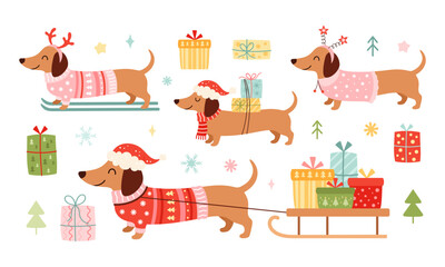 Christmas Dachshund Clipart Set. Preppy Xmas Dachshund Dog Illustrations. Tis The Season Sausage Dog. Festive Animal, Holiday Puppy.