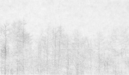 木立が美しい冬の森、かすむ落葉樹のシルエット
