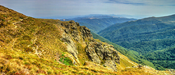 Beautiful landscape in the summer mountain