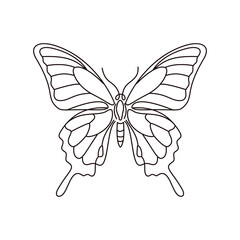 Minimalist Butterfly Line Art Illustration. Line drawing. Animal Sketch