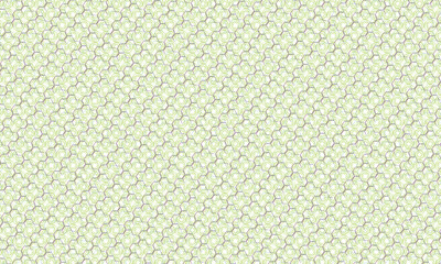 Fototapeta premium Light Green Hexagonal Geometric Pattern Background