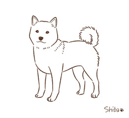 手描きの柴犬線画_ベクターイラスト