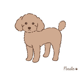 手描きのトイプードル_ベクターイラスト