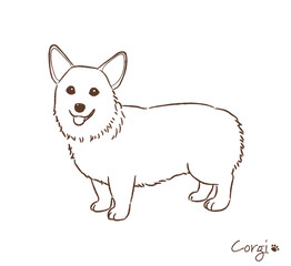 手描きのコーギー線画_ベクターイラスト