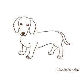 手描きのダックスフント線画_ベクターイラスト
