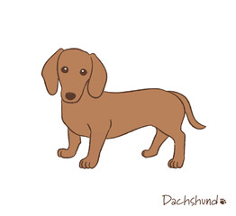 手描きのダックスフント_ベクターイラスト