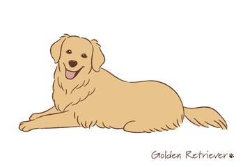 手描きのゴールデンレトリバー線画_ベクターイラスト