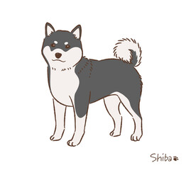 手描きの柴犬黒毛_ベクターイラスト
