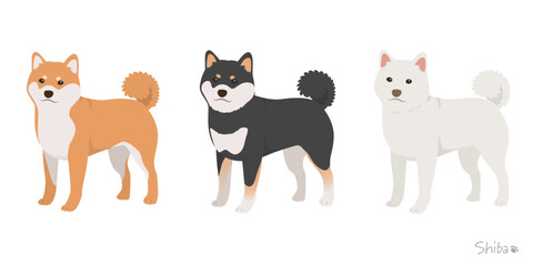 柴犬3色セット_首輪なし_ベクターイラスト