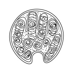 Detailed Cell Structure Line Art Illustration Mitochondria Eukaryotic Organelles Biology