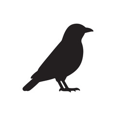 Fototapeta premium Myna silhouette icon vector flat design