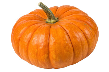 Studio photograph of an autumnal vegetable, a healthy, round pumpkin with deep vertical grooves
