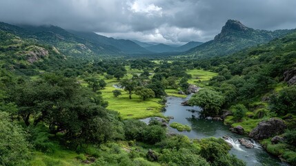Post-monsoon landscape with lush greenery, cloudy skies, and replenished water bodies transforming arid region into vibrant habitat