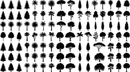 Tree silhouettes mega collection, diverse forest tropical pine and palm trees, detailed botanical vector illustration for landscape design, environment, and outdoor projects © MD. NUR ISLAM