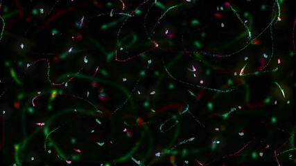 green and red christmas theme scribble pencil crayon lines stopmotion animation on black background,