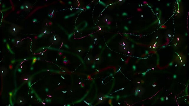 green and red christmas theme scribble pencil crayon lines stopmotion animation on black background,